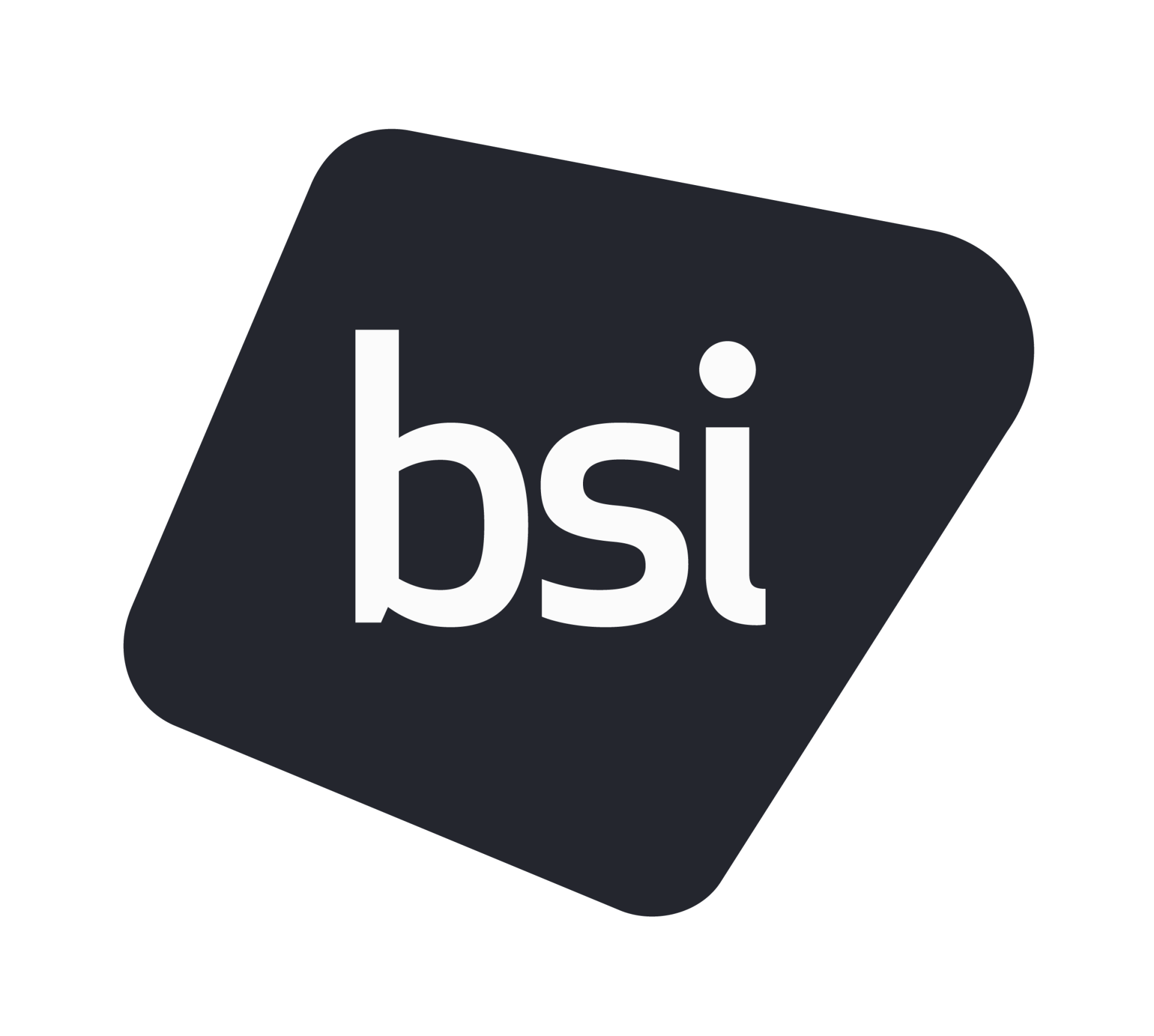 British Standards Institute Logo